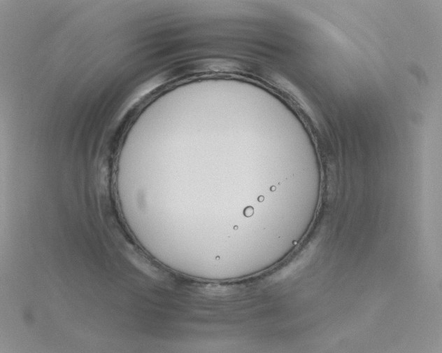 X0000115300827200911231307