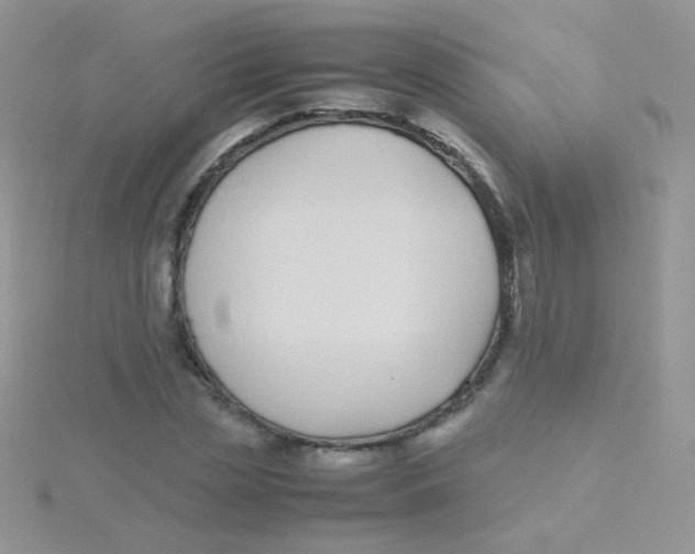 X0000115300829200911231307