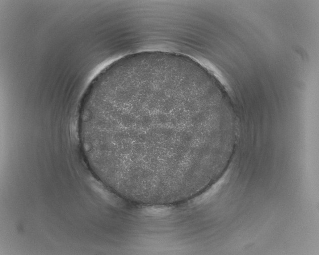 X0000115300830200911231307