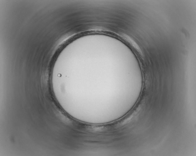 X0000115300831200911231307