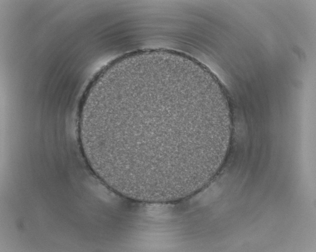 X0000115300832200911231307