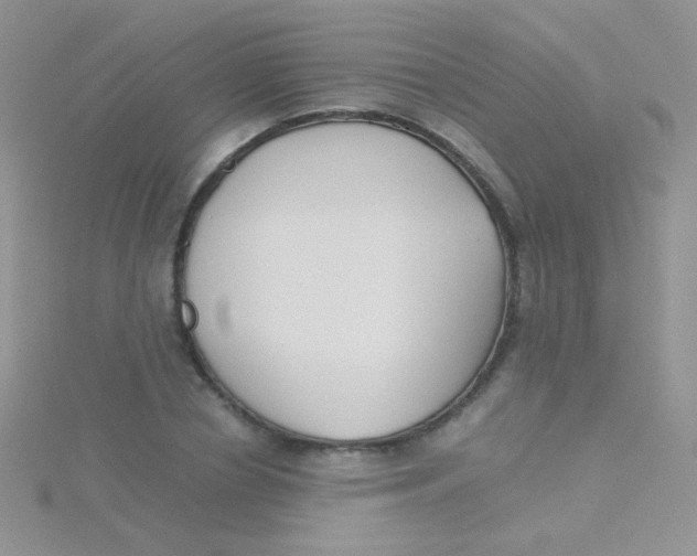 X0000115300834200911231307