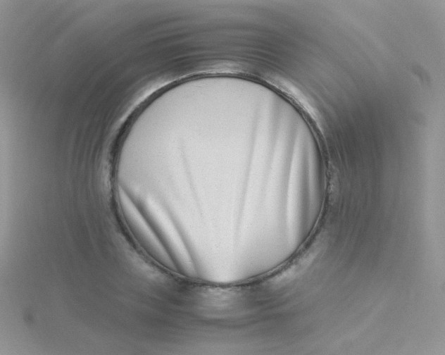 X0000115300835200911231307