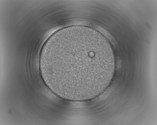 X0000115300836200911231307