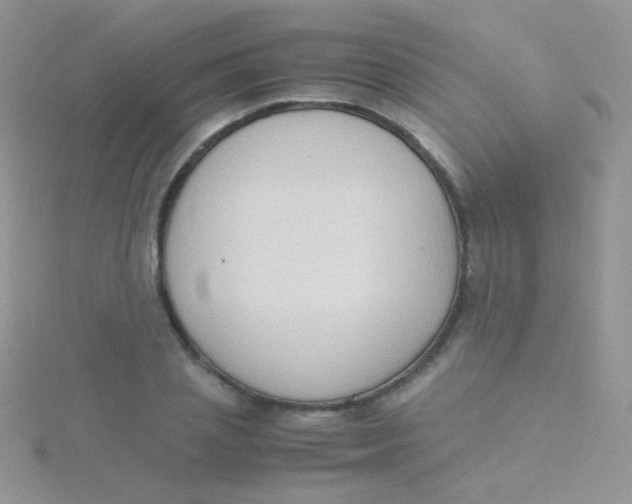 X0000115300837200911231307