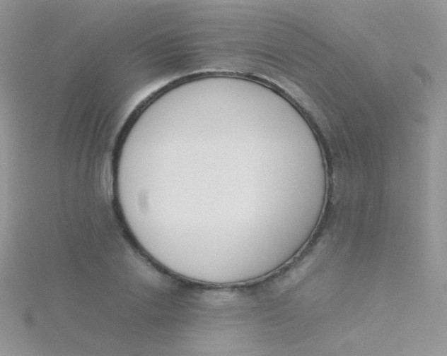 X0000115300838200911231307