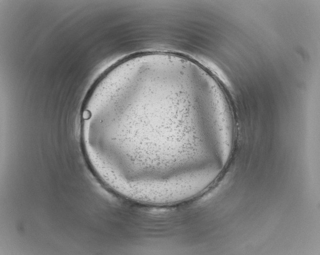 X0000115300839200911231307