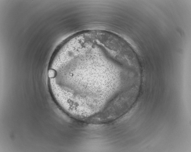 X0000115300840200911231307