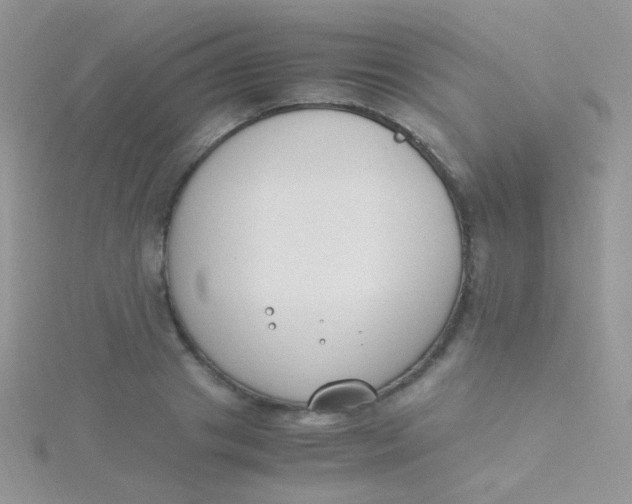 X0000115300841200911231307