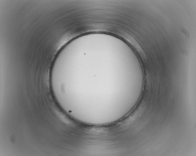 X0000115300842200911231307