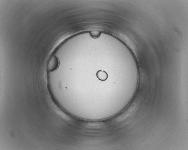 X0000115300843200911231307