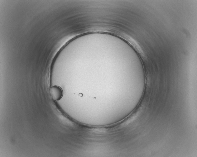 X0000115300844200911231307