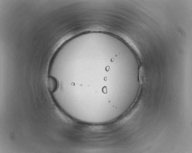 X0000115300845200911231307