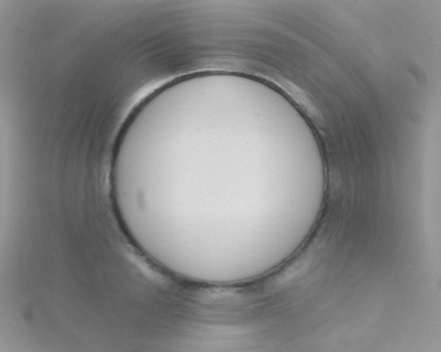 X0000115300846200911231307