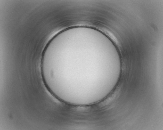 X0000115300847200911231307