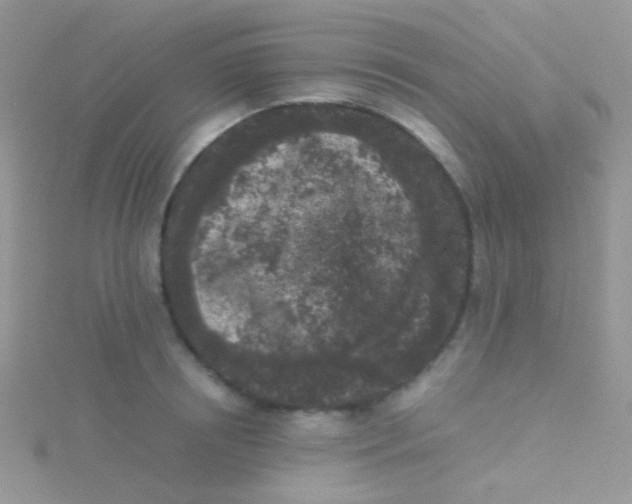 X0000115300850200911231307