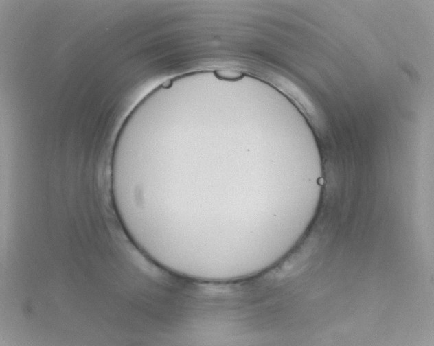 X0000115300852200911231307