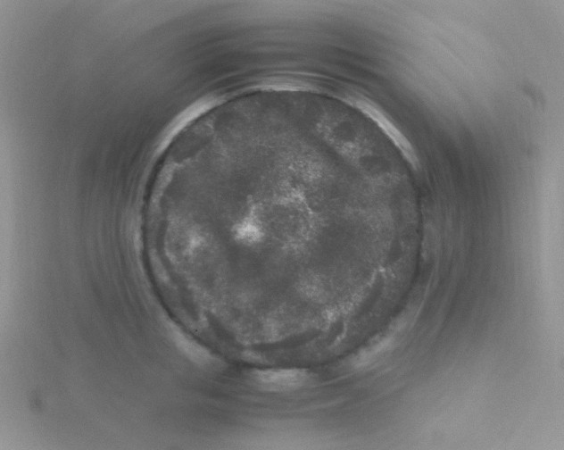 X0000115300853200911231307