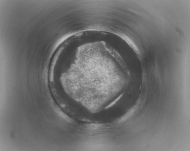 X0000115300854200911231308