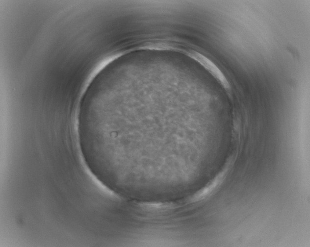 X0000115300855200911231308