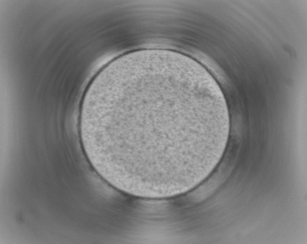 X0000115300856200911231308