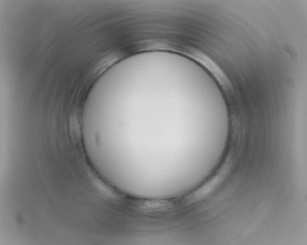 X0000115300857200911231308