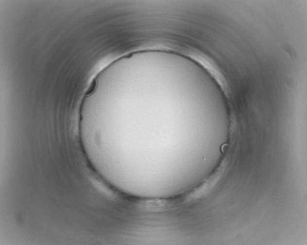 X0000115300858200911231308