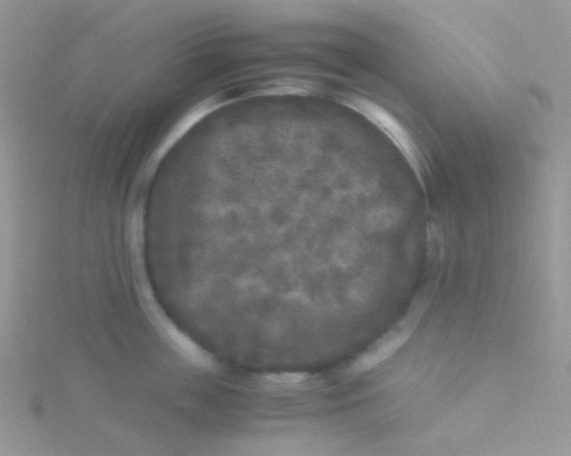 X0000115300859200911231308