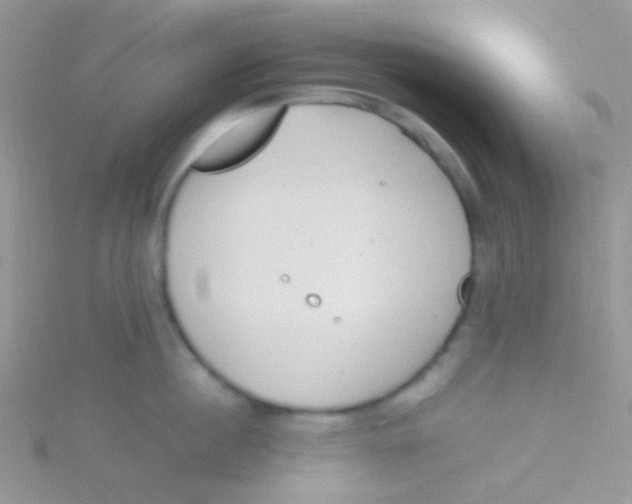 X0000115300860200911231308