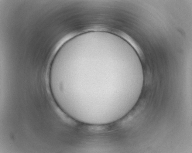 X0000115300861200911231308