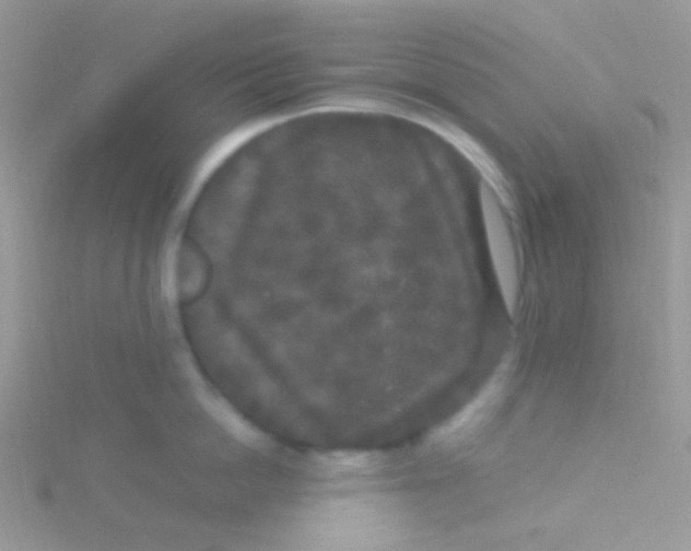 X0000115300862200911231308