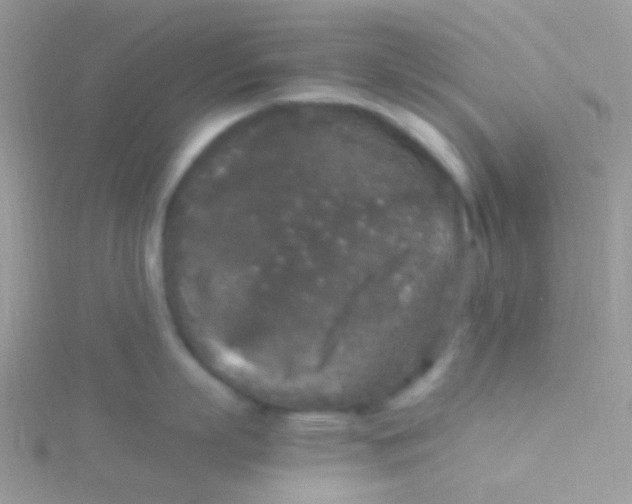 X0000115300863200911231308