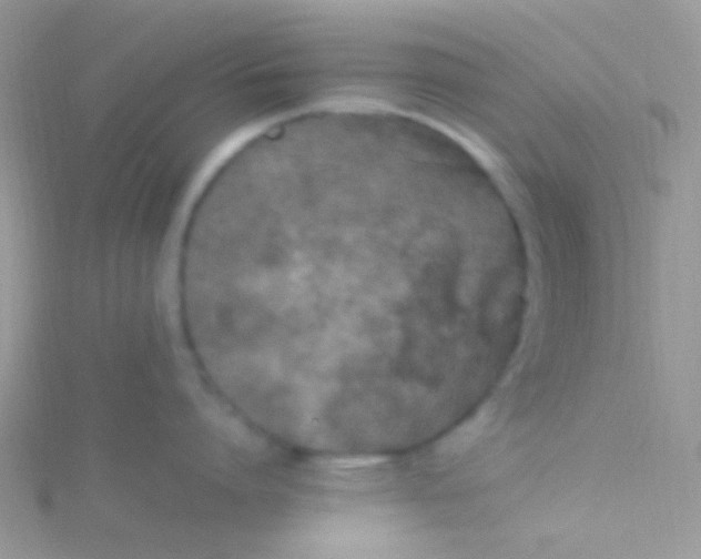 X0000115300864200911231308