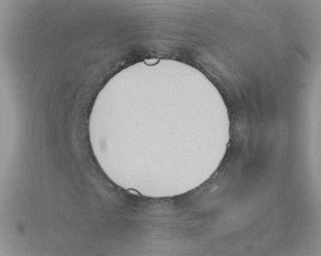 X0000115300865200911231307