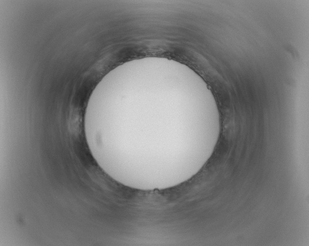 X0000115300866200911231307