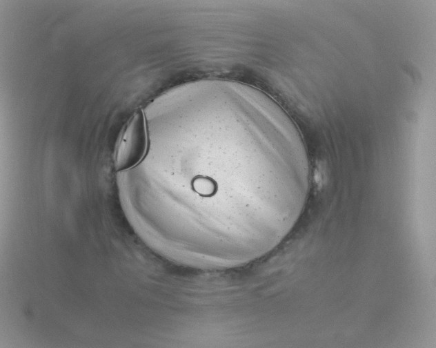 X0000115300867200911231307