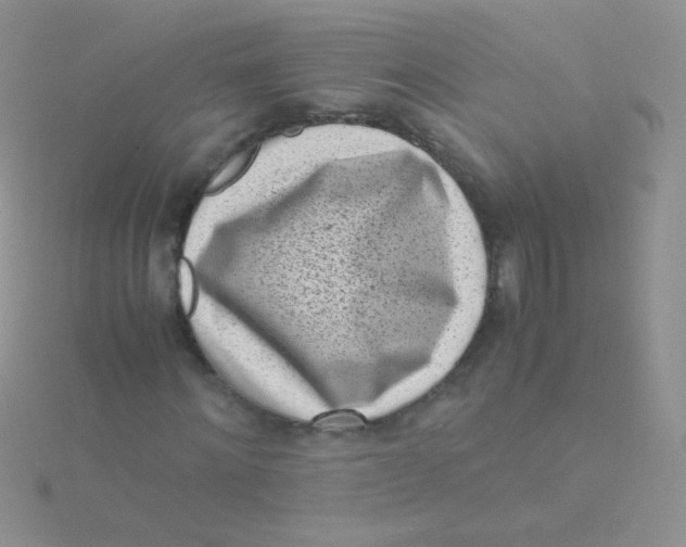 X0000115300868200911231307