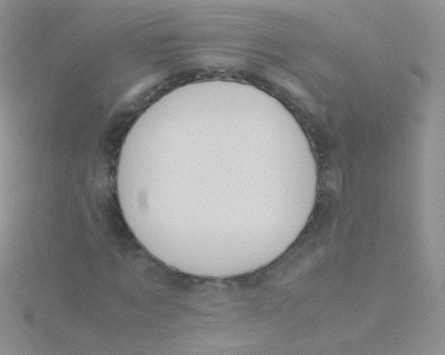 X0000115300869200911231307