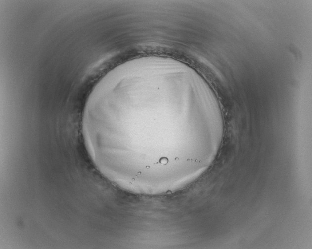 X0000115300870200911231307