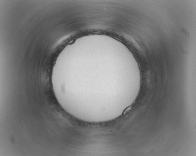 X0000115300872200911231307