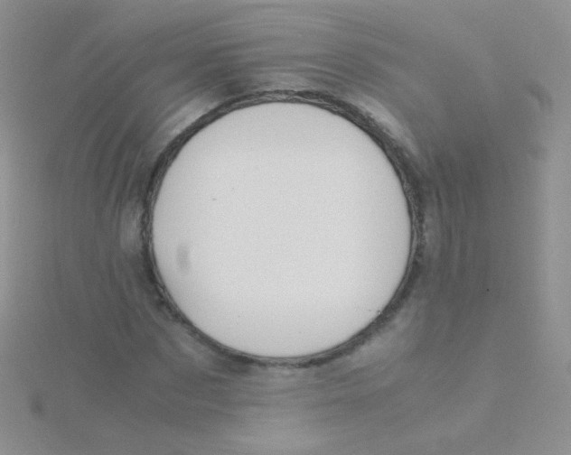 X0000115300873200911231307