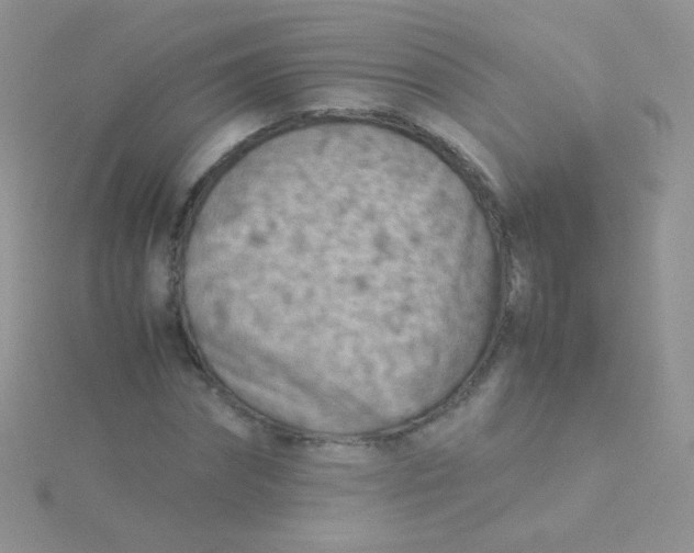 X0000115300874200911231307