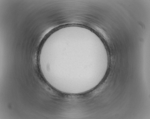 X0000115300875200911231307