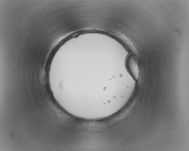 X0000115300876200911231307