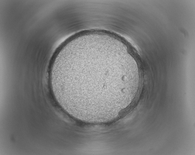 X0000115300879200911231307