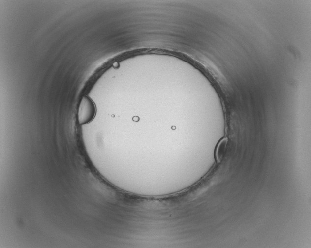 X0000115300880200911231307