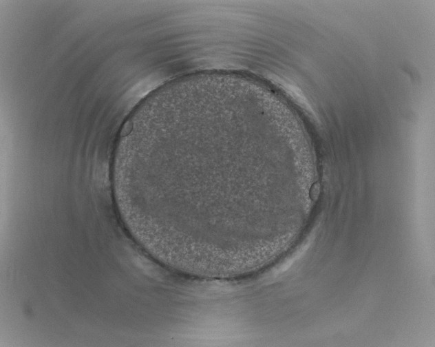 X0000115300881200911231307