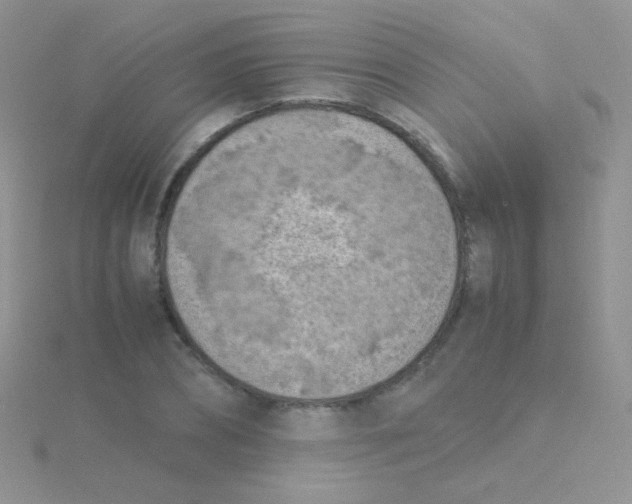 X0000115300882200911231307