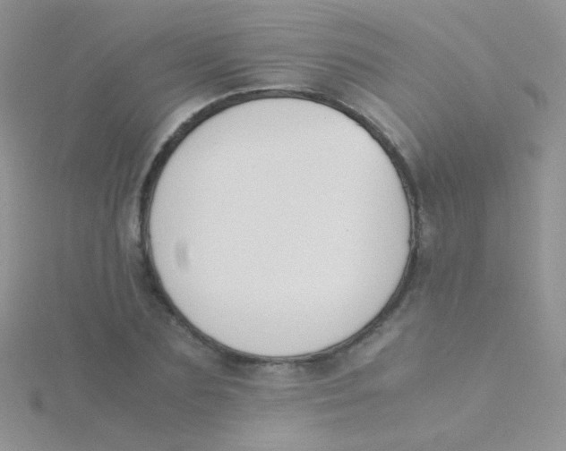 X0000115300883200911231307