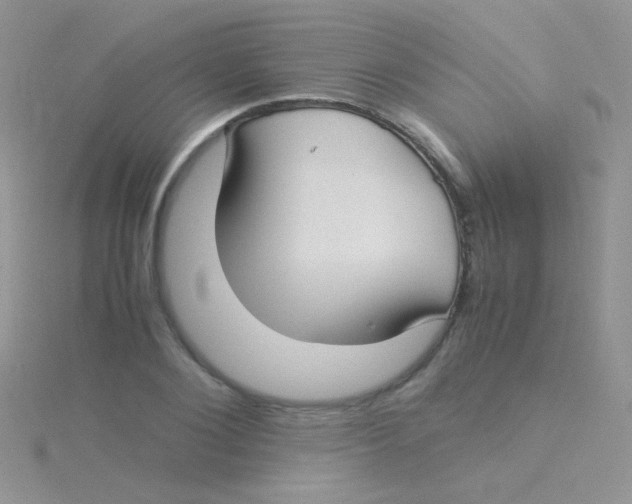 X0000115300884200911231307